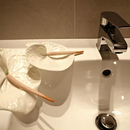Gimmi Hotel Rimini
