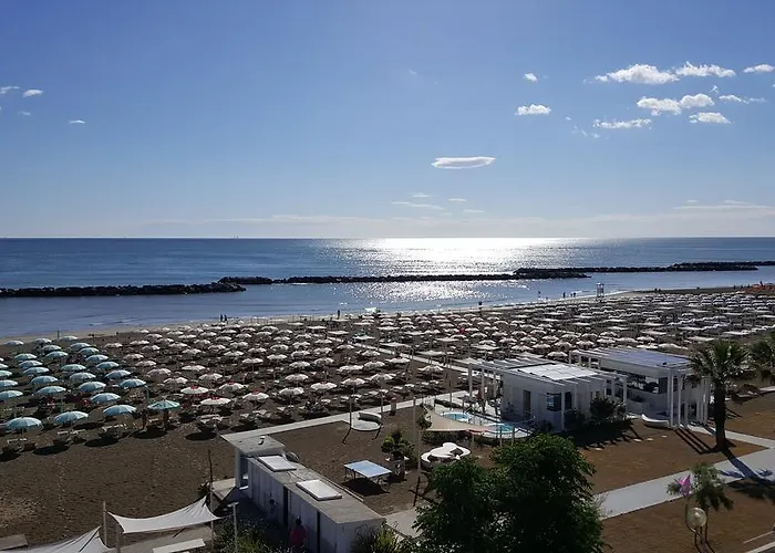 Gimmi Rimini